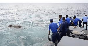 The Navy saw an elephant in the water ten miles from shore. They all jumped in to save her