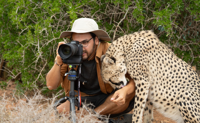 A Photographer was surprised when the Cheetah quietly came closer and hugged him