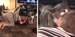 Cat Sees Little Boy Having A Meltdown — And Knows Exactly What To Do