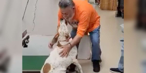 Dog’s Emotional Reunion With Dad After 18 Months Away Will Bring You To Tears