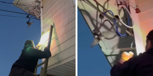 Rescuer Races Against Time To Save Bird Tangled In Live Electrical Wire